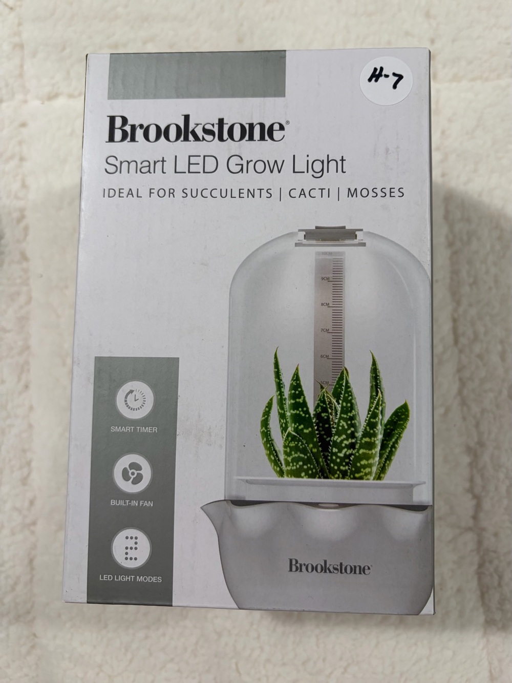 Brookstone Faux Succulent Display in Green and White